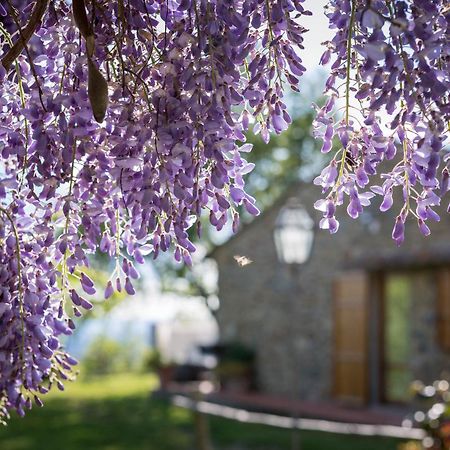 Le Cetinelle Guest House เกรเว อิน เคียนตี ภายนอก รูปภาพ