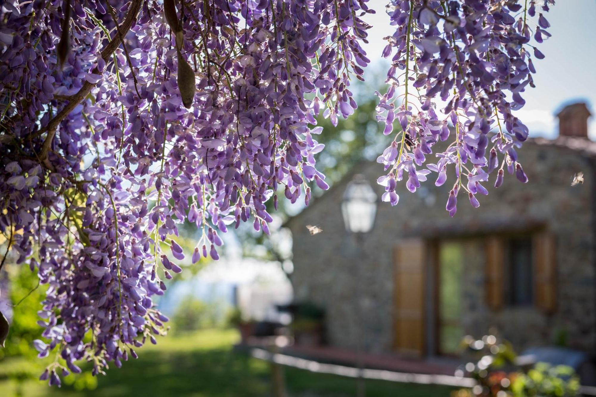 Le Cetinelle Guest House เกรเว อิน เคียนตี ภายนอก รูปภาพ